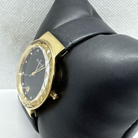Skagen SKW2124 Women\'s Black Leather Strap Analog Dial Quartz Wrist Watch JNA578 main image 10